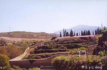 Huerta del convento de la Concepcin