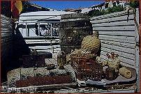 El recuperado Mercado Tradicional en San Pedro Manrique
