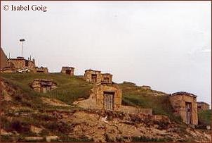 Bodegas en Valdanzo (Soria)