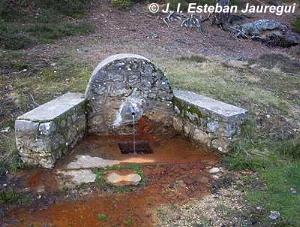 Fuente del Rovellano. Navaleno