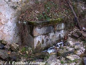 Fuente del Salogral. Vinuesa