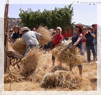 El Da de la Siega en Valdanzo