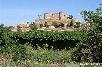 Castillo de Almenar