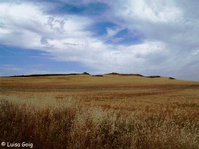 Campos de Gmara