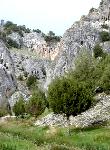 Orillares. Cuevas, mayo 2008