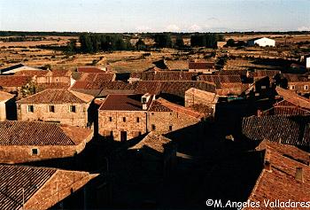 Romanillos de Medinaceli