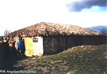 Romanillos de Medinaceli