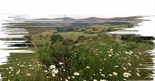 Las heronas de Tierras Altas, Soria