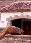 Aula Paleontolgica de Villar del Ro