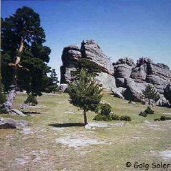 Duruelo de la Sierra "Castroviejo"