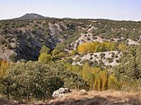 Can del ro Izana. Las Cuevas (Soria)