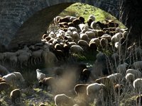 El ro Linares (La Rioja)