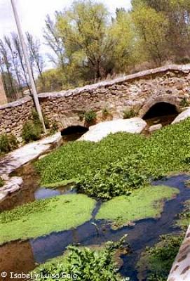 Manantiales de Renieblas