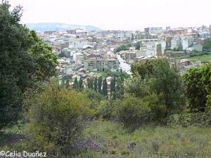 Soria desde el Monte de Santa Ana