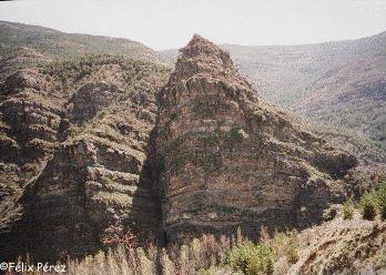 Por el valle del Linares (Soria)