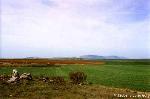 Va romana en Velilla, al fondo Numancia