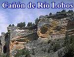 Can del ro Lobos