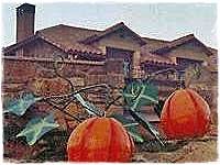 "Calabazas"