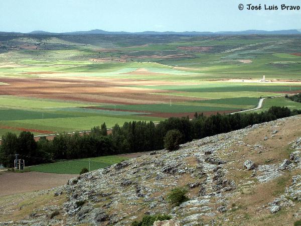 Campos de Gormaz