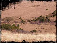 Estepa de San Juan. La Manzorra