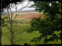 Monasterio
