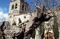 Iglesia Virgen del Espino (Soria)